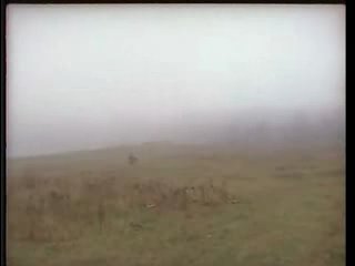 Ай лав ю, Петрович (1990)