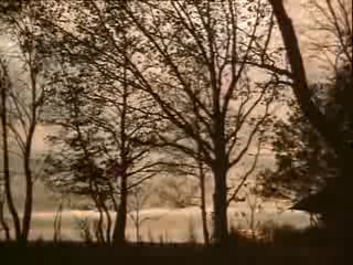 Х/ф "Летучая мышь" (1-2 серия)