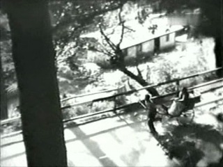 Любовь в Симле(1960)
