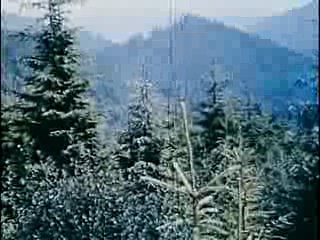 В двух шагах от Рая (1984)