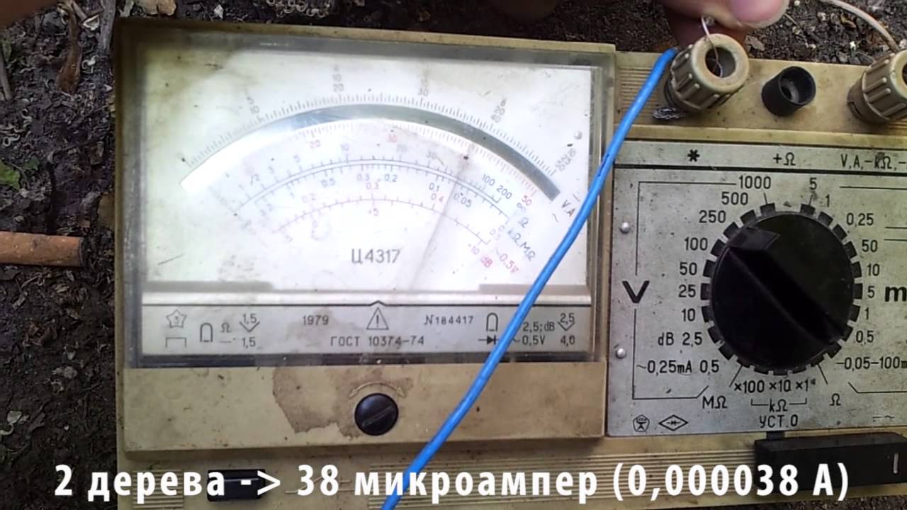 Электричество из деревьев (Свободная энергия) / ENERGY