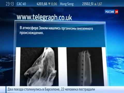 Водоросли - пришельцы в атмосфере Земли