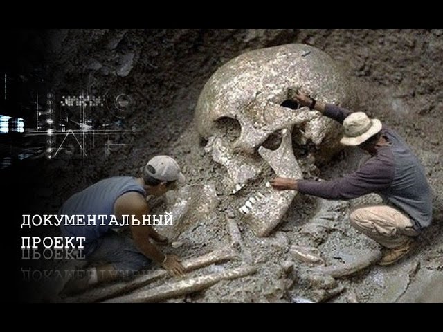 Документальный фильм. Ложная история 2015