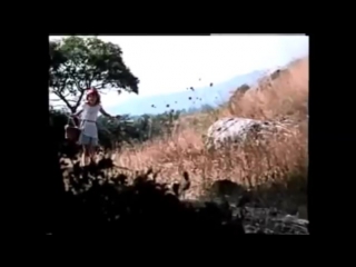 Лучшие песни из детского кино