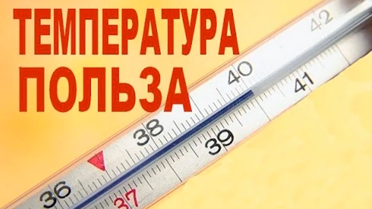 О положительном влиянии на организм высокой температуры. Телесный врач