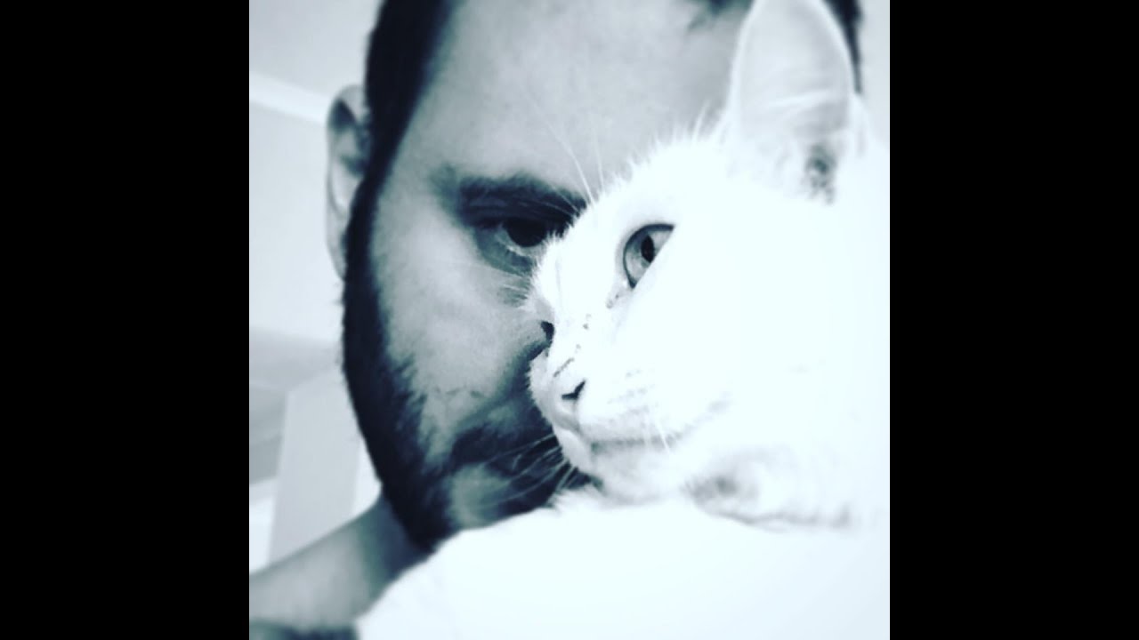 17 котов в одной квартире