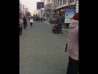 Выгул медведя в центре Хабаровска