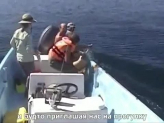 Спасение погибающего кита