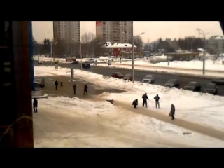 Собака духовкой сбила с ног человека