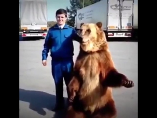 Дима - ФАК!