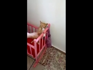 Когда мама отказалась кормить
