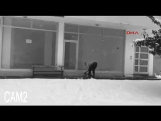 Парень помог замерзающей собаке