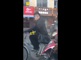 Собака на электросамокате катается по дорогам Китая