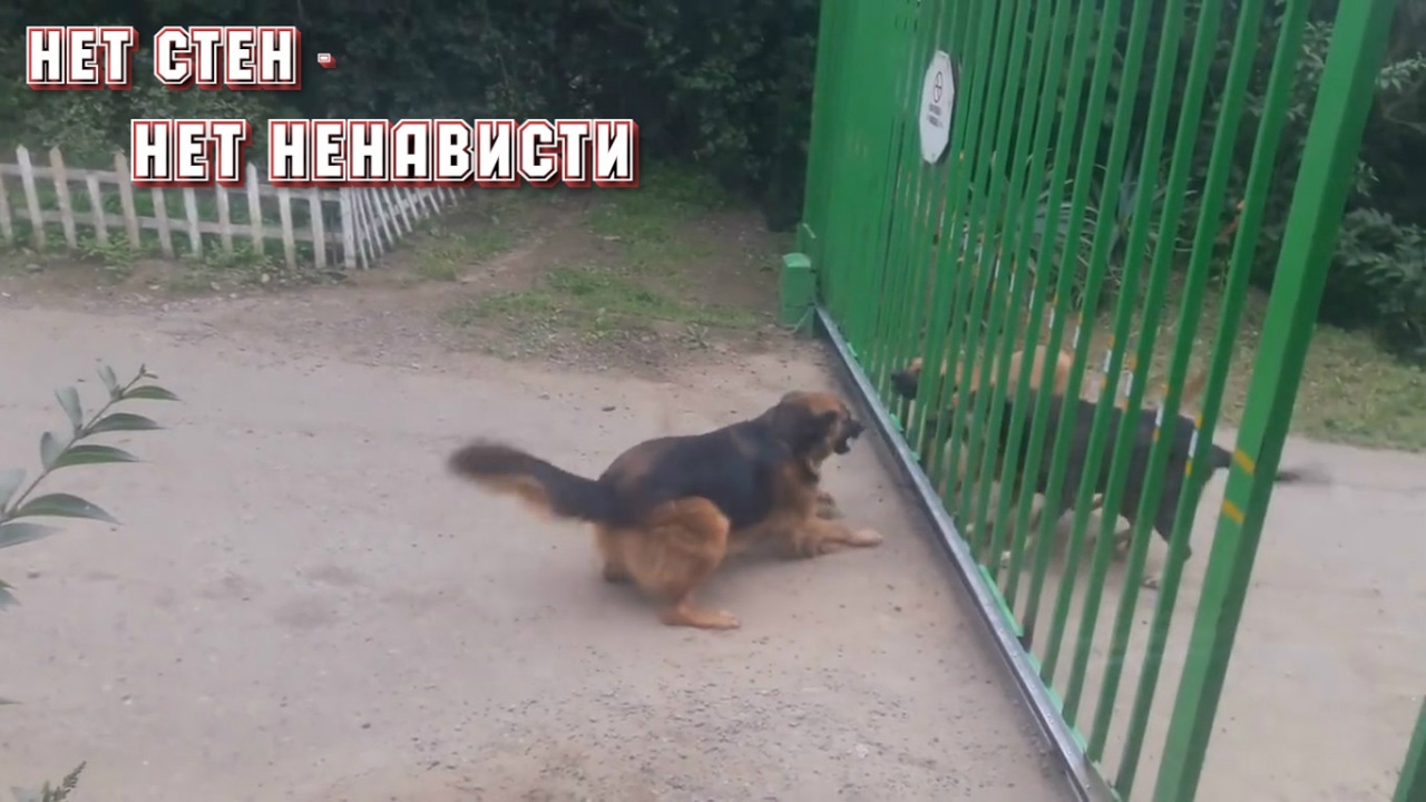 Нет стен - нет ненависти!