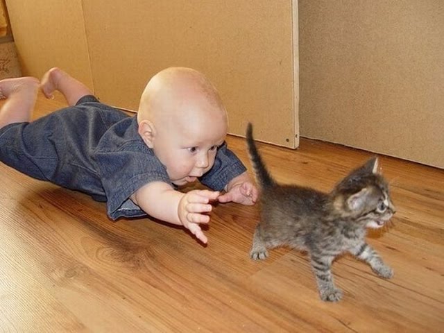 Лучшая подборка Кошки и Дети!Приколы с Детьми! / Funny Videos Cats and Kids!