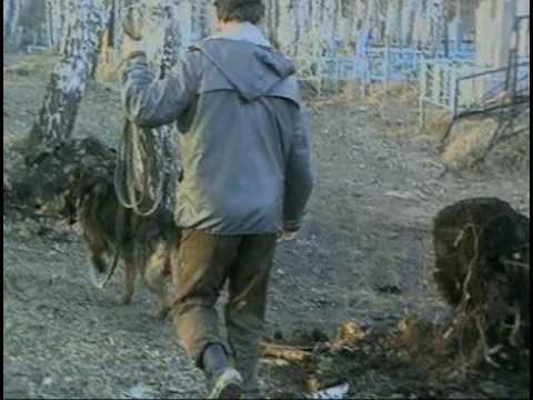 Криминальная Россия   Свердловское дело сатрапы